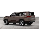Toyota Land Cruiser TEC Edition Standheizung AHK - Toyota Land Cruiser: Tec
