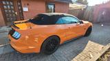 Ford Mustang 5.0 Ti-VCT V8 GT Auto GT mit Magne Ride  - Ford Mustang in Kiel