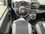 Fiat Panda 1.0 Mild Hybrid  Base Klima DAB - Fiat Panda: Limousine