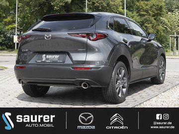 Mazda CX-30 Selection Des.P.Act.P.Leder360°DABHea