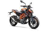 KTM 390 Duke 2023, sofort verfügbar