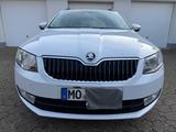 Skoda Octavia 1.6 TDI 81kW Green tec Active Combi ... - Skoda Octavia Active mit Diesel-Antrieb