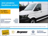 Volkswagen Crafter 35 Kasten TDI SHZ PDC KLIMA Würth Regal