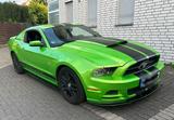 Ford Mustang 3.7 V6 305 PS | US-Car | - Ford Mustang Gebrauchtwagen in Bielefeld