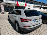 Skoda Kodiaq 2.0 TDI 4x4 DSG Ambition | AHK | TÜV neu - Skoda Kodiaq Gebrauchtwagen in München