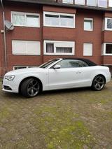 Audi A5 1.8 TFSI multitronic Cabriolet - - Audi A5: Weiß