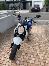 Suzuki SFV Gladius 650 ABS Modell 2013 - SUZUKI GLADIUS