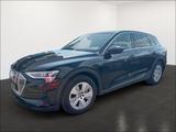 Audi e-tron 55 quattro basis RFK+VirtualCockpit+MMI P - Audi e-tron aus 2019