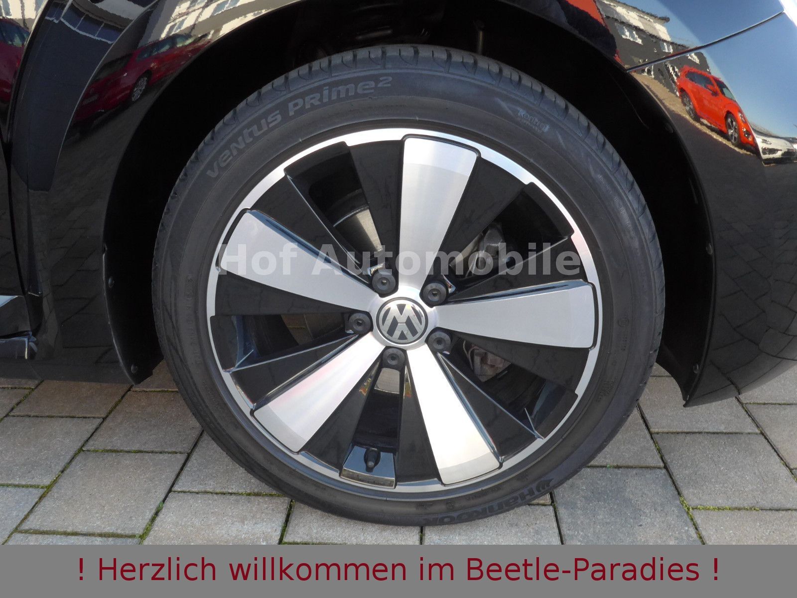 Volkswagen Beetle 1.2TSI Sound Plus Fender Xenon AppCon. SH foto 9