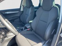 Skoda Karoq - Vorschau Bild 9