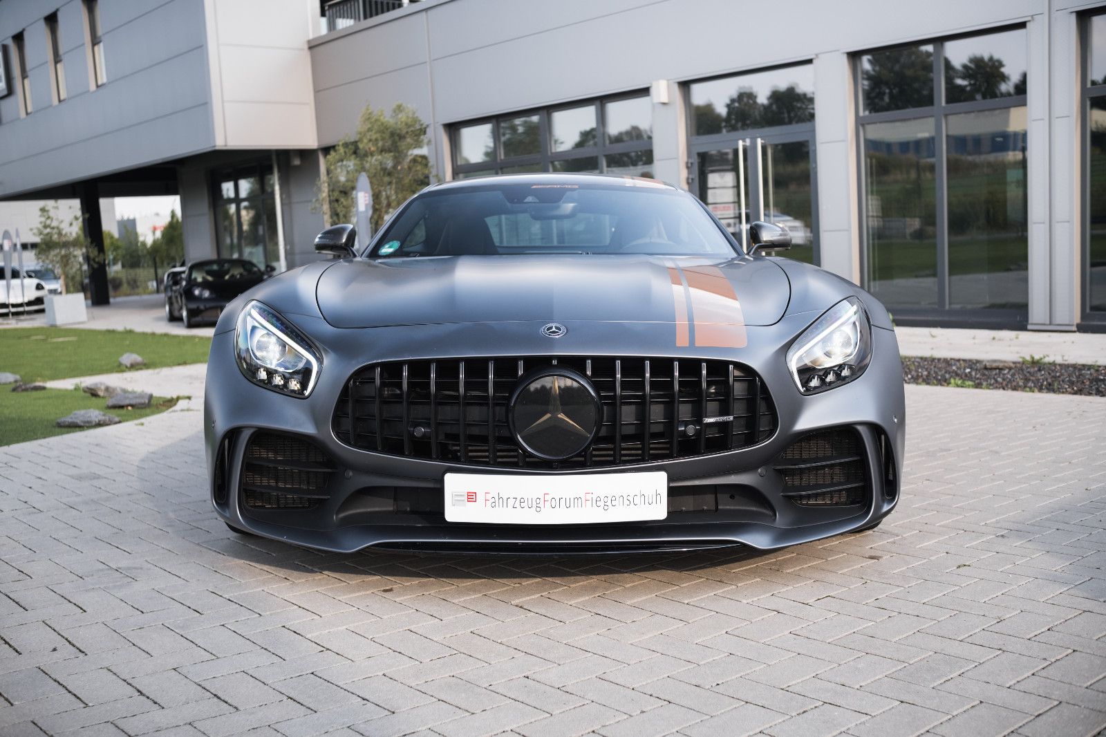 Fahrzeugabbildung Mercedes-Benz AMG GT R Coupe-Keramik-DAB-Burmester-Carbon