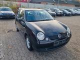 Volkswagen Lupo 1.0 BASIS *TÜV NEU*ALLWETTERREIFEN - Volkswagen Lupo in Hamburg