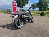 Triumph Scrambler 900 Top Zustand - TRIUMPH SCRAMBLER