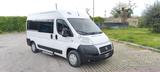 Fiat Ducato 9 Posti Trasporto Disabili - Fiat Ducato aus 2010: Van