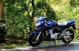 Suzuki GSF 1250 S/A !! 7tkm !! BANDIT BOS neuw. - SUZUKI T 125