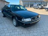 Audi V8 D11 3,6L mit H Kennzeich Quattro  - Audi V8 von privat