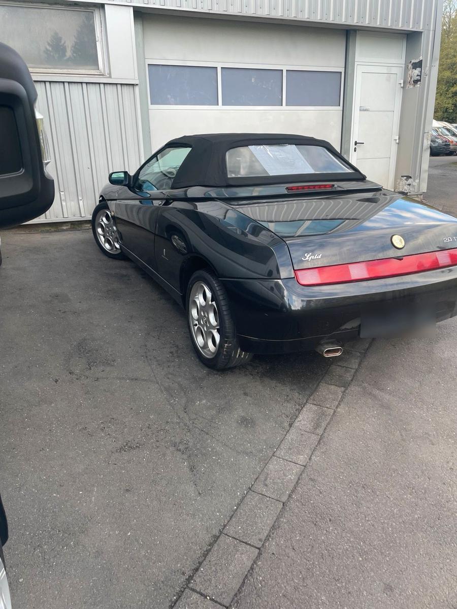 Alfa Romeo Spider