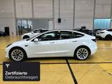 Tesla Model 3 Rear-Wheel Drive - Tesla Model 3 Gebrauchtwagen in Frankfurt