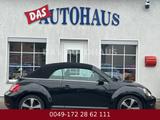 Volkswagen Beetle Cabriolet BMT 79000 KM - Volkswagen Beetle: Cabrio