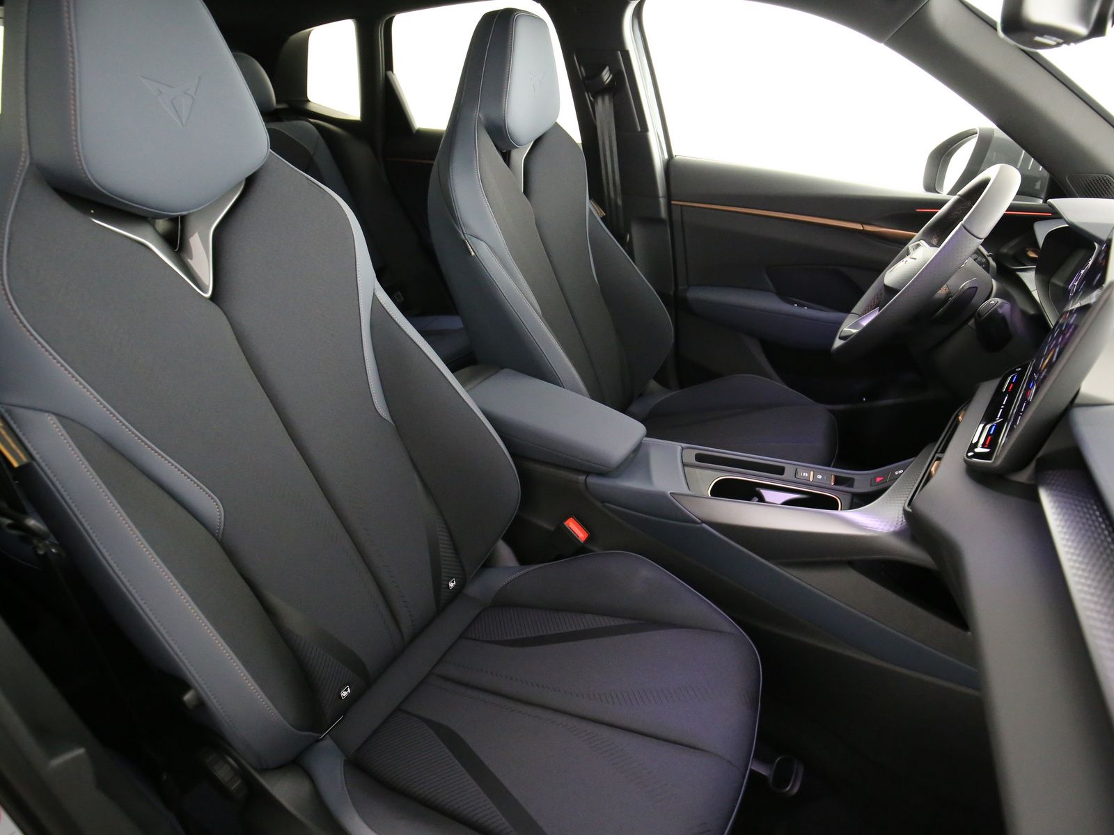 Cupra Terramar - Bild 18