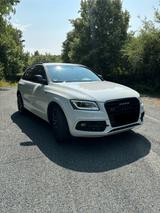 Audi SQ5 Plus 3.0 TDI B&O Standheizung ACC AHK RFK - Audi SQ5 in Braunschweig