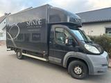 Fiat Ducato 3,0L Kofferaufbau Möbel - Kofferaufbau