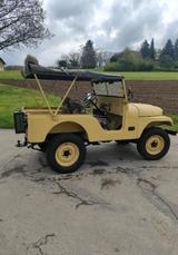 Jeep Willys Jeep BJ 1962  CJ 5 Restauriert - Jeep Willys: Geländewagen
