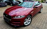 Jaguar F-PACE 3,0d Portfolio AWD/Voll-AHK-PANO-1.Hand - Jaguar F-Pace in Stuttgart