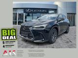 Lexus NX 450h+ Business Line Navi*4xSHZ*360KAM*DAB - schwarze Lexus NX-Serie