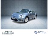 Volkswagen Beetle Cabriolet 1.2 TSI Design Sitzhzg. Navi Te