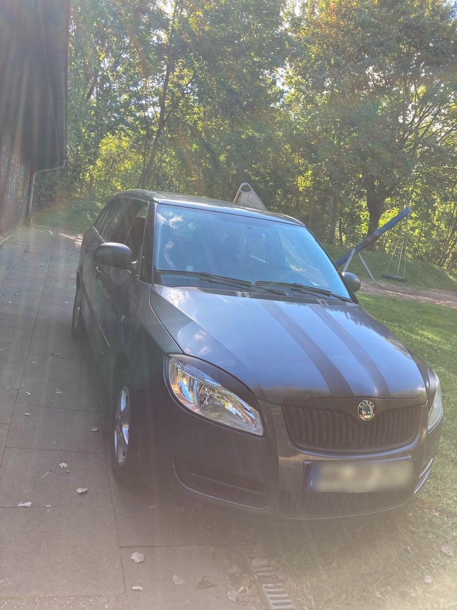 Skoda Fabia 2009 — photo 9