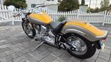 Yamaha XVS 1100 Drag Star