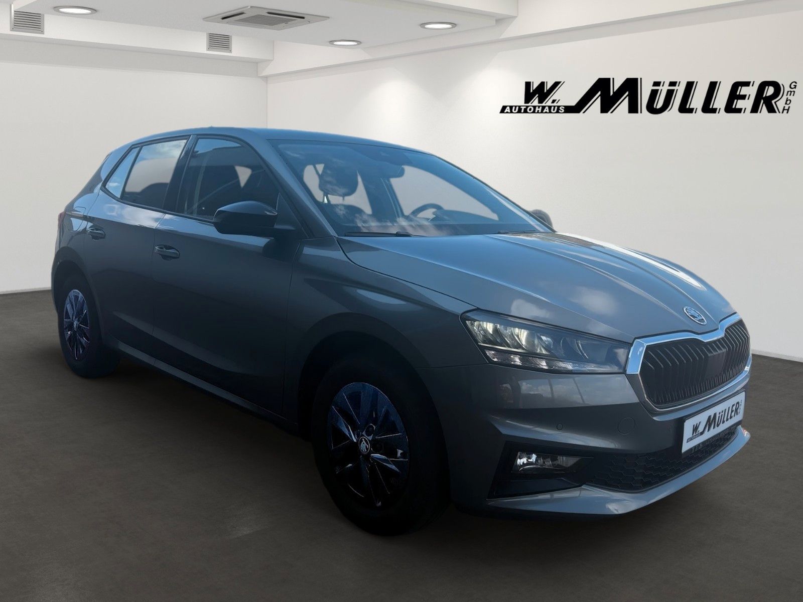 Fahrzeugabbildung SKODA Fabia Selection