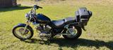 Yamaha Virago 535 - YAMAHA 1997 VIRAGO 535