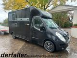 Renault Master Haras 1-2 Pferde Automatik Aluaufbau - Tier- & Pferdetransport für 2 Pferde