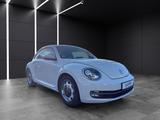 Volkswagen New Beetle Beetle 1.4 TSI Design Xenon/Tempom... - VW New Beetle Gebrauchtwagen