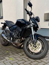 Honda Hornet CB600FA PC41 - HONDA HORNET 600 PC41