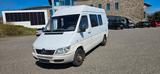 Mercedes-Benz Sprinter Kasten 313 CDI*Tüv Neu*Wohnmobil* - Mercedes-Benz Sprinter aus 2004: Van