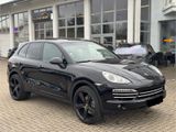 Porsche Cayenne Diesel Platinum Edition Panorama 22 Zoll - Porsche Cayenne: 22 Zoll