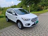 Ford Kuga Bj 04.2018 / AWD - Ford Kuga Gebrauchtwagen in Münster