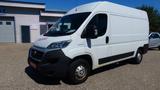 Fiat Ducato Hochr.-Kasten  130 L2H2 Noch ohne Adblue - gebrauchte Fiat Ducato aus dem Jahr 2019