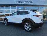 Mazda CX-30 Selection*Automatik*1.Hand*LED*Navi* Mazda - Mazda: Mazda3