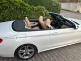 BMW 420i Cabrio Sport Line Sport Line - BMW 420: Cabrio