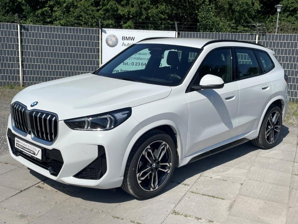 BMW X1 xDrive23d M Sport eSitze 360Kamera DrivAsProf