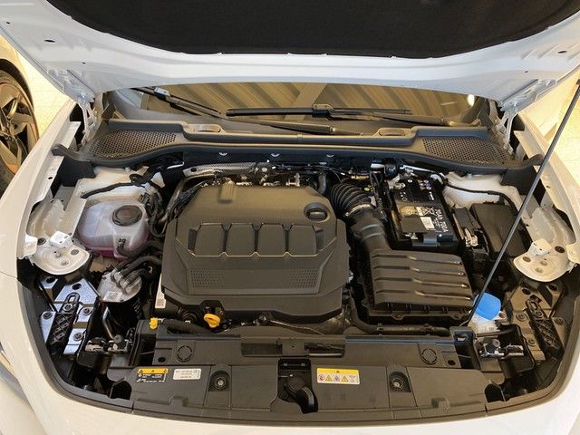 Formentor 2.0 TDI 110 kW DSG 4Drive