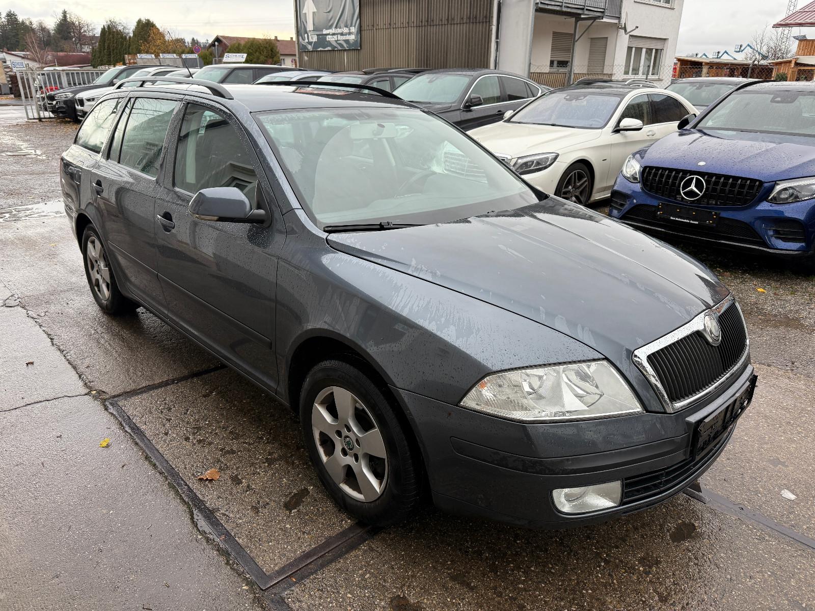Skoda Octavia 2009 — rear view