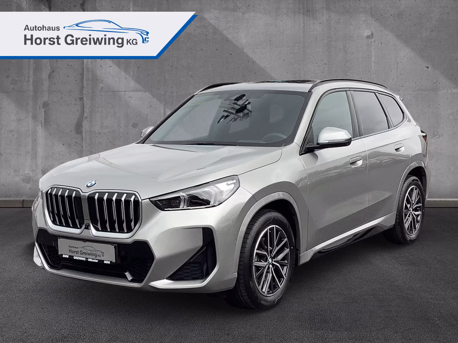 BMW X1 18 i sDrive M Sport AHK, Pano,360°,