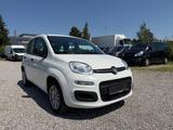 Fiat Panda Easy * Klima* - Fiat Gebrauchtwagen von 2020