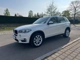 BMW X5 sDrive 25 d*Euro 6*Automatik*Motor Neu*Top* - BMW X5: Geländewagen, Auto