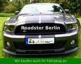 Ford Mustang Shelby GT500 Coupe* Nr.147 von 360* - Ford Mustang aus 2009: Shelby